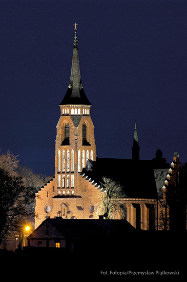 fot. Przemysław Piątkowski